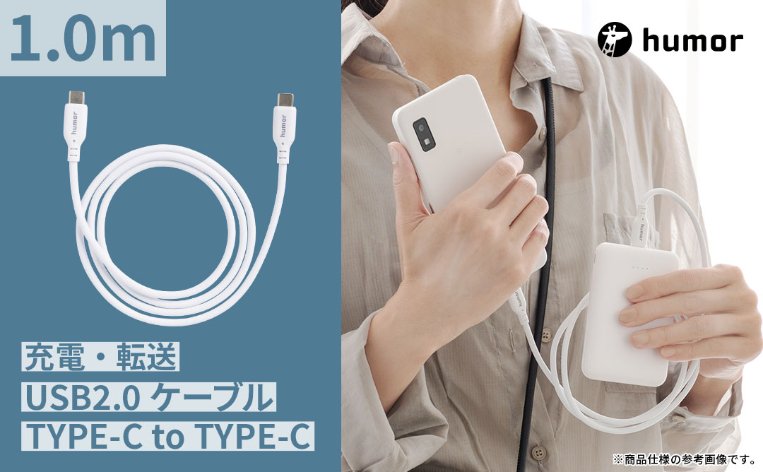 【WEB】2026福袋 充電環境が整う!USBタップ・2in1 ワイヤレス充電器・ケーブル・ケーブルタイお得な4点セット(グレーブラック/ミントグリーン)